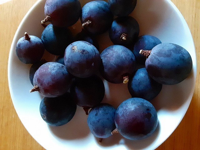 20200903_101325.jpg