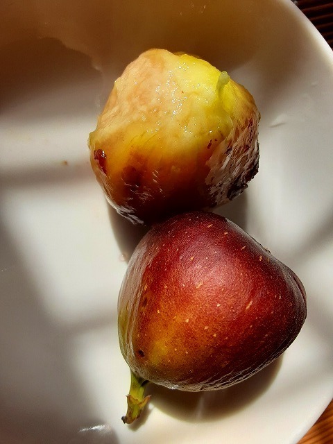 20201101_104424.jpg