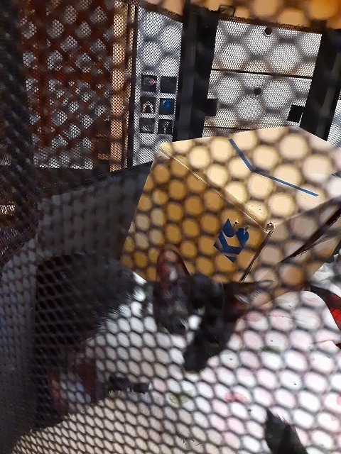 20201101_113822.jpg