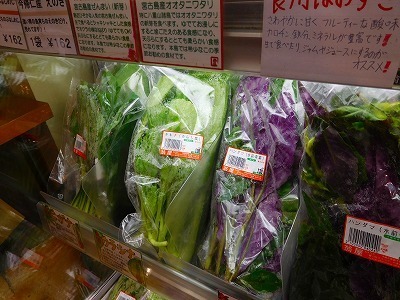 DSCN1128.jpg