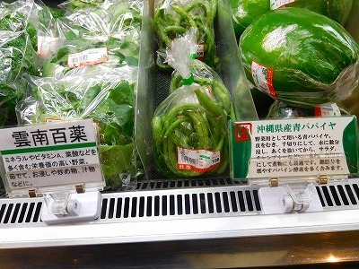 DSCN1129.jpg