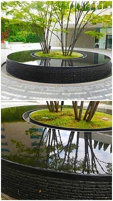 DSCN2488.jpg