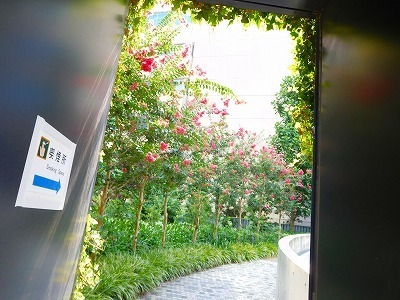 DSCN2514.jpg
