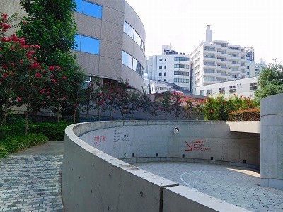 DSCN2515.jpg