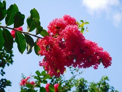 DSCN2517.jpg