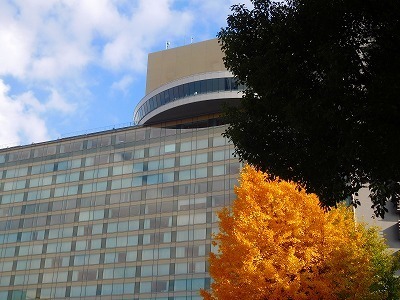DSCN4302.jpg