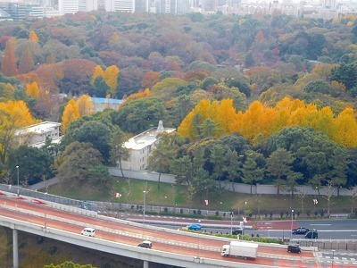DSCN4352.jpg