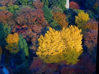 DSCN4355.jpg