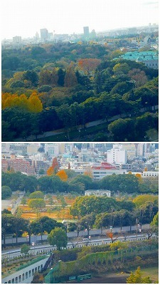 DSCN4358.jpg