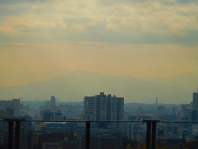DSCN4361.jpg