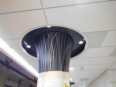 DSCN6489.jpg