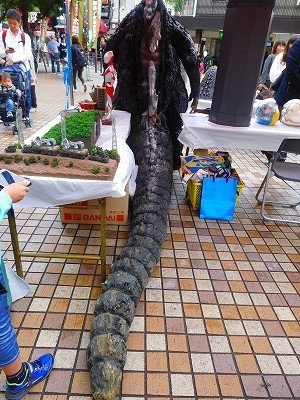 DSCN6856.jpg