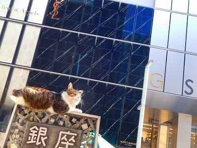 DSCN6959.jpg
