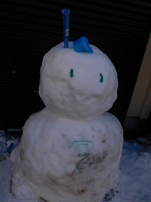 DSCN7334.jpg