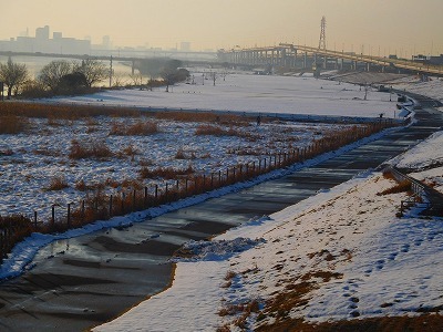 DSCN7335.jpg