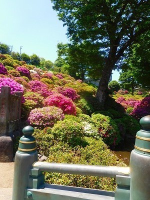 DSCN7892.jpg