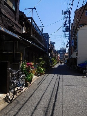 DSCN7904.jpg