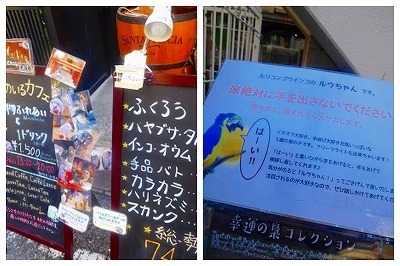 DSCN7918.jpg