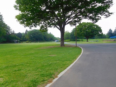DSCN8031.jpg