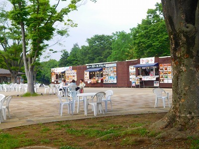 DSCN8034.jpg