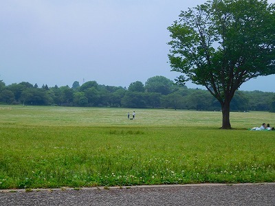 DSCN8040.jpg