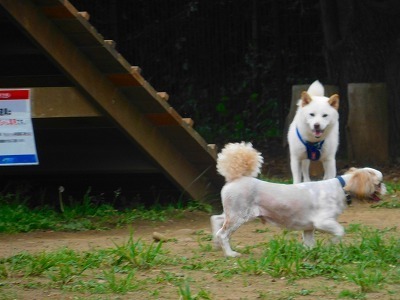 DSCN8059.jpg