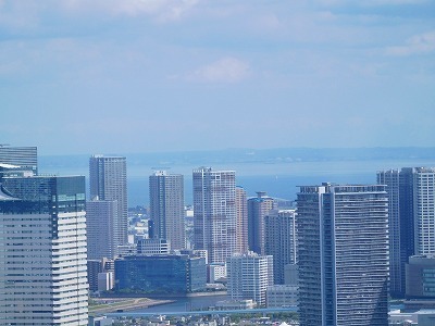 DSCN8465.jpg