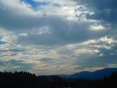 DSCN8476.jpg