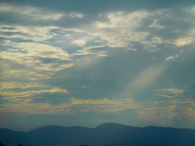 DSCN8479.jpg