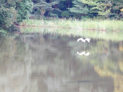 DSCN8561.jpg