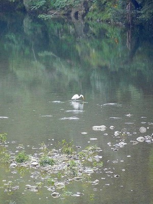 DSCN8566.jpg