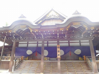 DSCN8573.jpg