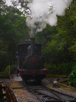 DSCN8657.jpg