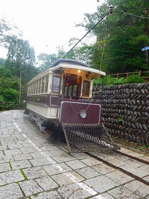 DSCN8658.jpg