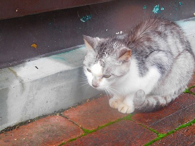 DSCN8667.jpg