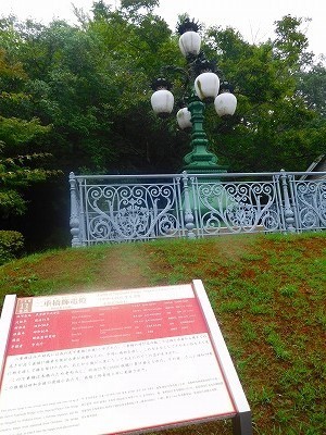 DSCN8670.jpg