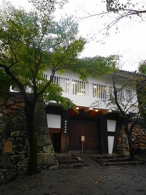 DSCN8675.jpg