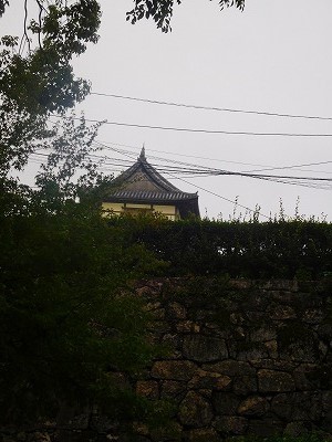 DSCN8676.jpg