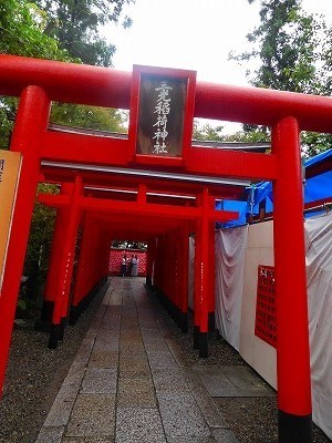 DSCN8677.jpg