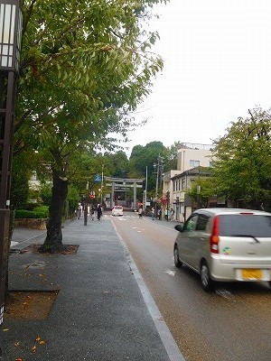 DSCN8679.jpg