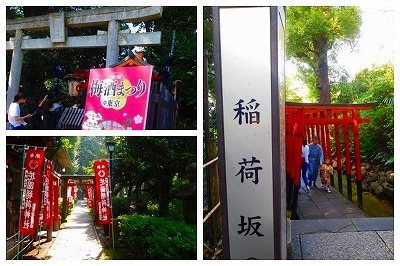 DSCN8720.jpg