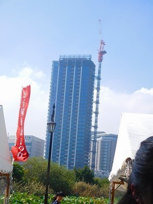 DSCN8730.jpg