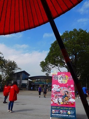 DSCN8739.jpg