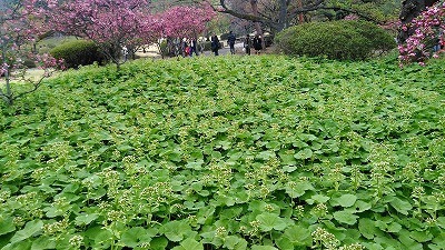 KIMG0615.jpg