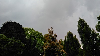 KIMG0816.jpg