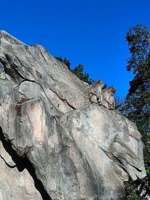KIMG1748.jpg