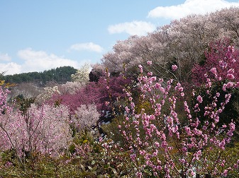 P1020828.jpg