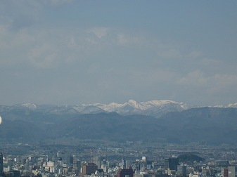 P1020834.jpg
