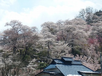 P1020862.jpg
