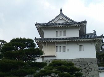 P1020871.jpg